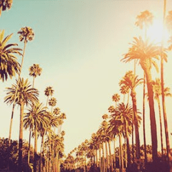 Los Angeles - Los Angeles