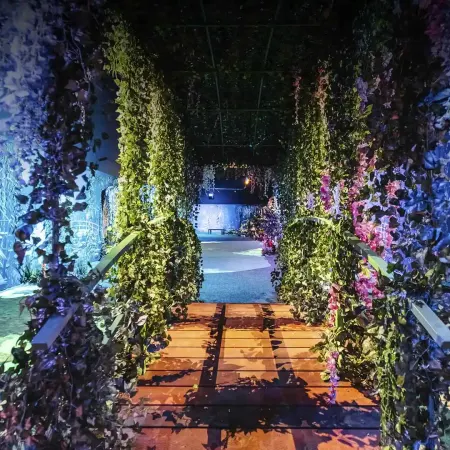 Claude Monet: The Immersive Experience