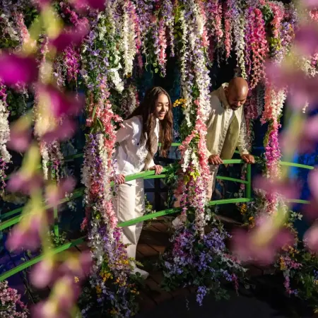 Claude Monet: The Immersive Experience